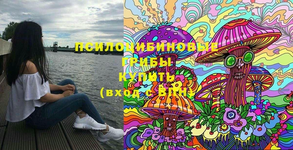 стаф Бугульма
