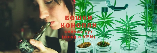 экстази Бородино