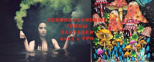 стаф Бугульма