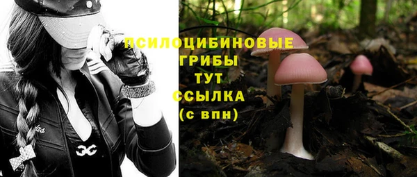гашик Бронницы