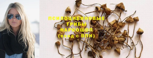 экстази Бородино
