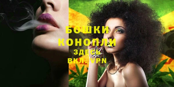 гашик Бронницы