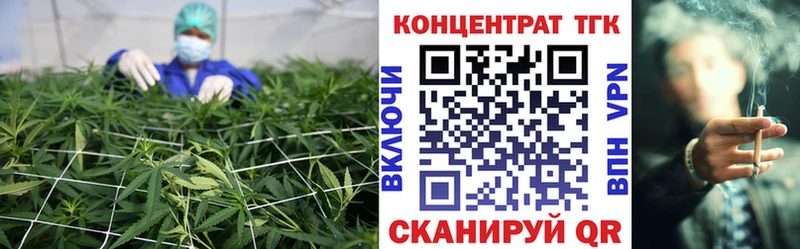 как найти закладки Шилка ТГК Wax