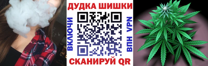 Бошки марихуана гибрид Шилка